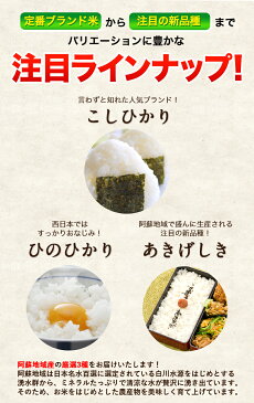 【ふるさと納税】無洗米 ひのひかり / 無洗米 こしひかり /無洗米 あきげしき 計15kg 食べ比べ 厳選 お楽しみ セット 5kg×3袋 熊本県産 南阿蘇村産含む《2022年2月中旬-3月末頃より順次出荷》阿蘇地域 コメ 米