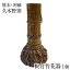 skgnetの画像