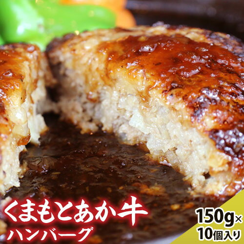 [希少和牛]ハンバーグ 熊本県産 あか牛ハンバーグ 150g × 10個 南阿蘇食品 牛肉 あか牛 南阿蘇村 [90日以内に出荷予定(土日祝除く)]