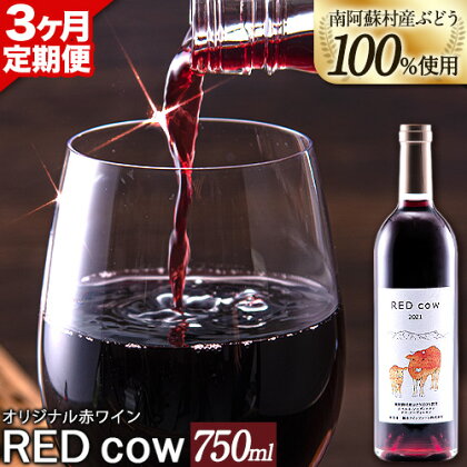 【3ヶ月定期便】南阿蘇村産ぶどう100%使用 赤ワイン RED cow 1本 750ml《お申込み月の翌月から出荷開始》熊本県 南阿蘇村 カベルネ・ソーヴィニヨン ヤマ・ソーヴィニヨン ワイン 酒 お酒 定期 計3回 お届け