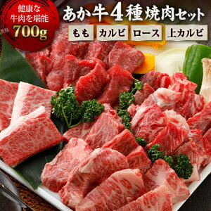 【ふるさと納税】4種のお肉を堪能する焼肉セット 700g (もも・カルビ・上カルビ・ロース) 国産 ...