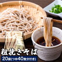 麺類(そば)人気ランク20位　口コミ数「0件」評価「0」「【ふるさと納税】自然豊かな南阿蘇の粗挽きそば 20袋(40束) つゆ40食付き あそ望の郷くぎの そば道場《90日以内に出荷予定(土日祝を除く)》 熊本県南阿蘇村 蕎麦」