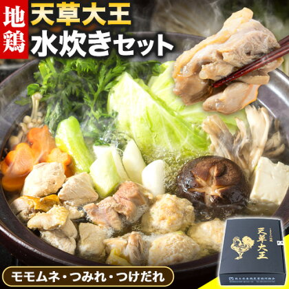 【幻の地鶏】天草大王 水炊き セット 大海水産株式会社《45日以内に出荷予定(土日祝除く)》熊本県 南阿蘇村 水炊き 鍋 地鶏 チキン 鶏肉 モモムネ つみれ つけだれ 酒 あて 夕食 送料無料