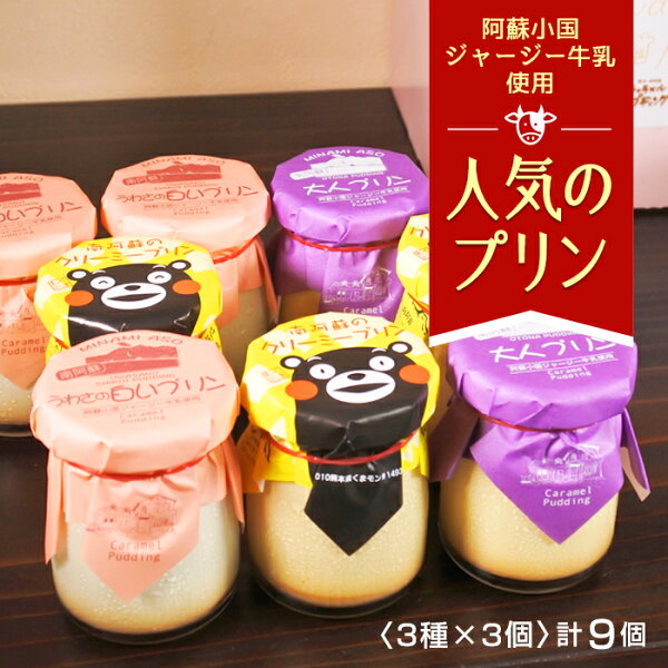 ふるさと納税 南阿蘇のプリン専門店まごころスイーツ「キャラメルプディング」人気3種×3セット