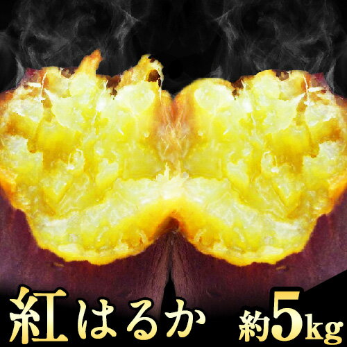 22位! 口コミ数「4件」評価「4.75」紅はるか 約5kg《30日以内に出荷予定(土日祝除く)》熊本県 御船町 秋 旬 野菜 有限会社ニシムラ