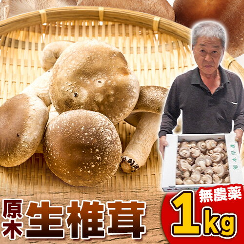 ڤդ뤵Ǽǡۤ   1kg 11ܡ3ܺвͽշ   ̵