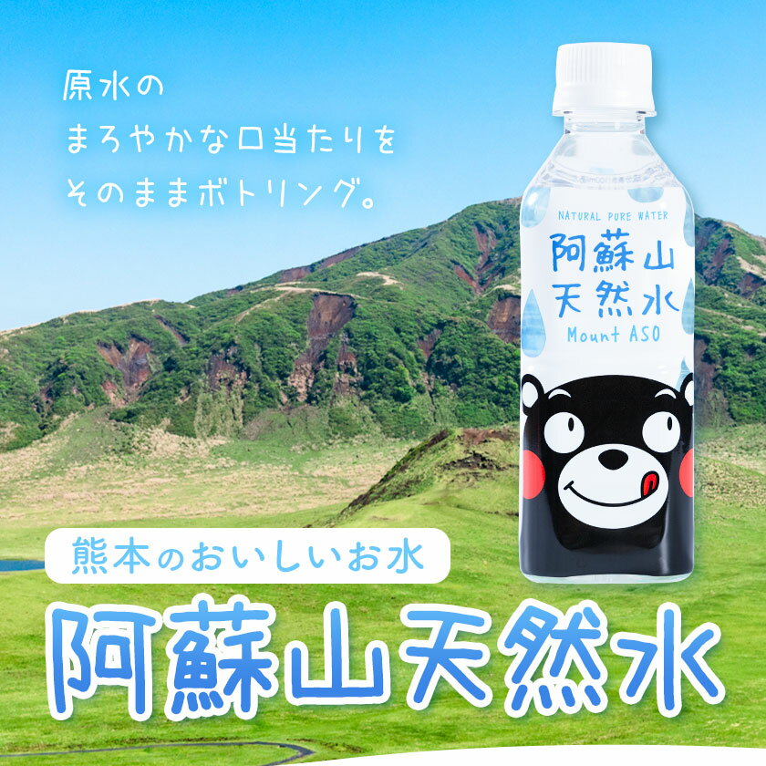 【ふるさと納税】水 熊本 の おいしい お水 阿蘇山 天然水 選べる 本数 330ml × 24本 1ケース 48本 2ケース 定期便 あり 丸富産業《出荷時期をお選びください》熊本県 御船町 水 天然水 みず 熊本 飲料 熊本県 ミネラルウォーター