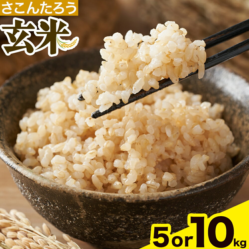 玄米 5kg 10kg さこんたろう[90日以内に発送予定(土日祝除く)]熊本県 御船町 コメ おこめ ごはん 熊本県産