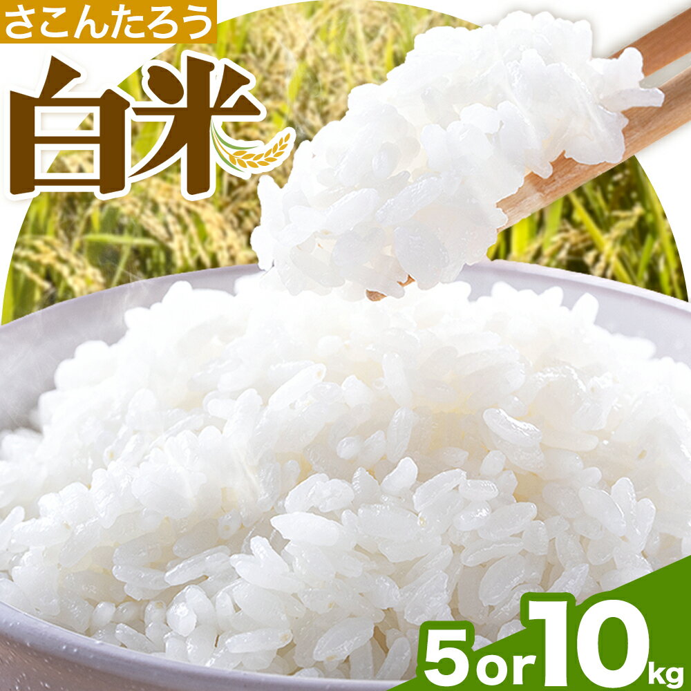 白米 5kg 10kg さこんたろう[90日以内に発送予定(土日祝除く)]熊本県 御船町 コメ おこめ 白米 ごはん 熊本県産