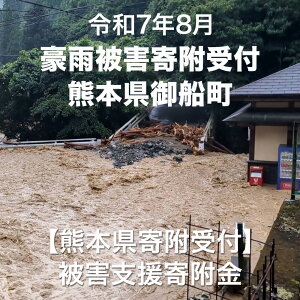 【ふるさと納税】令和7年8月 豪雨被害寄付受付 熊本県 御船町 (返礼品はありません)
