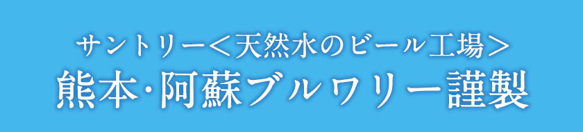 【ふるさと納税】“九州熊本産”オールフリー1ケース（350ml×24本）阿蘇天然水使用 ノンアルコール 熊本県御船町《30日以内に順次出荷(土日祝除く)》