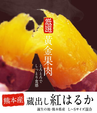 【大増量中★5kg⇒大盛り7.5kg】【ふるさと納税】誕生の地熊本県産 蔵出し紅はるか(L-Sサイズ混合)《7〜10営業日以内に順次出荷(土日祝除く)》