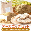 オーガニック 食品 御船町のオーガニックセット FLEUR organic kitchen 《90日以内に出荷予定(土日祝除く)》オーガニック お菓子 おやつ 煎餅 玄米 塩 藻塩 有機 自然栽培 米ぬか 一升