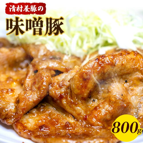 味噌豚 800g 清村養豚[60日以内に出荷予定(土日祝除く)] 豚 肉 熊本県御船町 熊本 御船