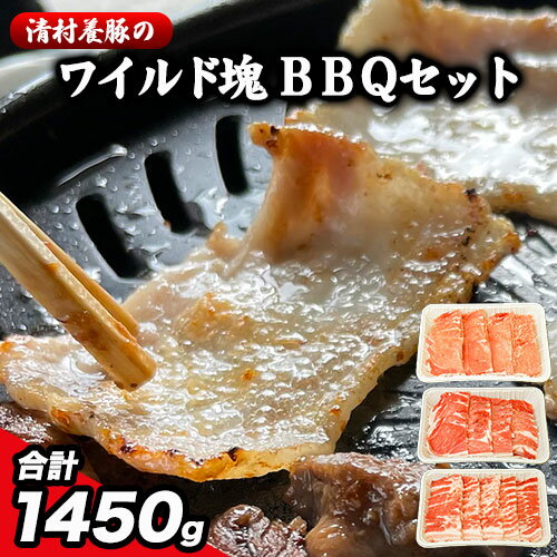 ワイルド塊BBQセット 計1450g 清村養豚[30日以内に出荷予定(土日祝除く)] 豚 肉 冷凍 小分け 熊本県御船町 カタ モモ バラ バーベキュー 熊本 御船