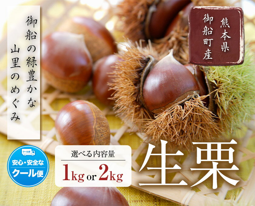 【ふるさと納税】生栗 熊本県御船町産限定 約1kg 約2kg(2L-Lサイズ) 期間限定 野菜 予約 スイーツ きんとん 甘露煮 渋皮煮 栗ご飯 熊本県御船町《2026年9月上旬-9月下旬頃出荷》