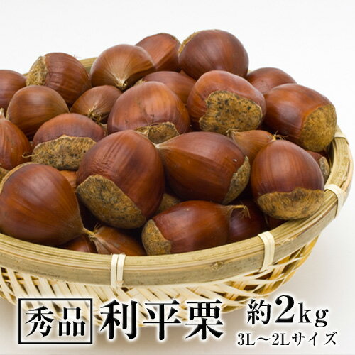 【ふるさと納税】利平栗 熊本県御船町産限定 約2kg(3L-2Lサイズ)　秋 旬 野菜 予約 スイーツ きんとん...