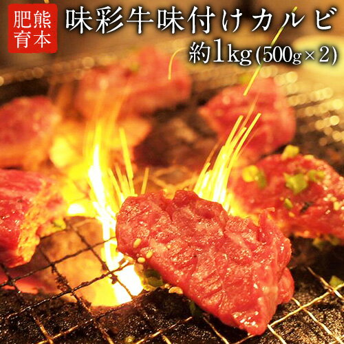 熊本県産 味彩牛味付けカルビ 約1kg 約500g×2 カルビ 焼き肉 厳選 肉のみやべ 熊本県御船町[90日以内に出荷予定(土日祝除く)]