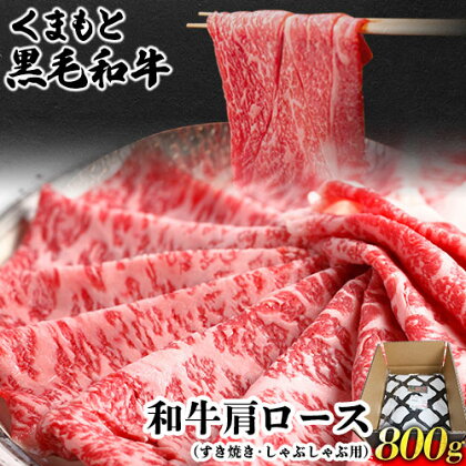 くまもと黒毛和牛 肩ロース（すき焼き・しゃぶしゃぶ用）800g 肉のみやべ 《90日以内に出荷予定(土日祝除く)》 すきやき 牛丼