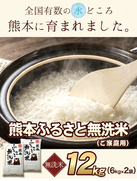 【ふるさと納税】 ご家庭用 熊本ふるさと無洗米12kg 熊本県産 無洗米 12kg 精米 御船町《5月下旬-7月上旬頃より順次出荷》