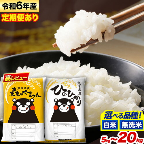 【ふるさと納税】令和6年産 無洗米 も選べる ひのひかり 森のくまさん 5kg 10kg 15kg 20kg 《7-14日以内に出荷予定(土日祝除く)》 高レビュー 熊本県産 無洗米 白米 精米 ひの 米 こめ ふるさとのうぜい ヒノヒカリ コメ 熊本米ひのもり 食べ比べ 定期便