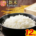 【ふるさと納税】 11年連続最高評価特A受賞 ひのひかり 令和2年産 新米 12kg(6kg×2袋) 【総合ランキング1位獲得】 熊本県産 白米 先行予約 令和2年 精米 定期便あり熊本県御船町《出荷時期をお選びください》