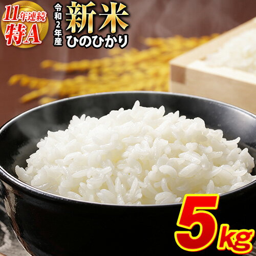 【ふるさと納税】 11年連続最高評価 特A 受賞！ 令和2年産 新米 ひのひかり 5kg 熊本 県産 白米 先行予約 令和2年 精米 御船町《出荷時期をお選びください》