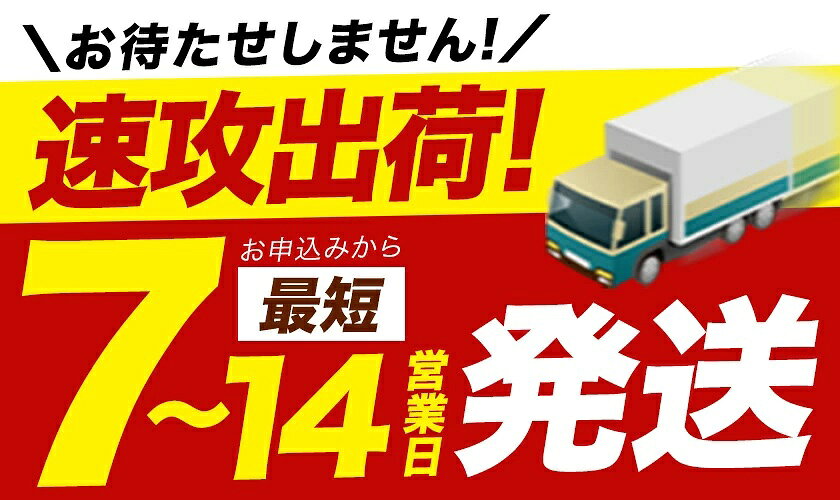 【ふるさと納税】令和7年産 無洗米 も選べる ひのひかり 森のくまさん 5kg 10kg 20kg 《出荷時期をお選びください》 高レビュー 熊本県産 無洗米 白米 米 こめ ヒノヒカリ ひのもり 食べ比べ 定期便 12ヶ月 18ヶ月 24ヶ月 隔月 6ヶ月 ブランド米 こしひかり コシヒカリ