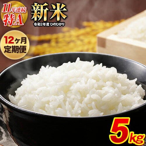 【ふるさと納税】 令和2年産 【12ヶ月定期便】 ひのひかり約5kg(5kg×1袋)...