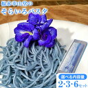 【ふるさと納税】御船町 福永幸山堂のそらいろパスタ 選べる 2セット 3セット 6セット《60日以内に出荷予定(土日祝除く)》熊本県 御船町 福永幸山堂 パスタ...