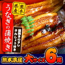 ★大サイズたっぷり6尾★熊本県産うなぎの蒲焼き【ふるさと納税】今なら『蒲焼きのタレ/さんしょう』付き《10月上旬-10月末頃より順次出荷》