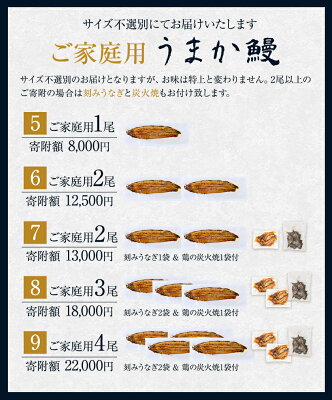 【ふるさと納税】総合1位獲得!生活応援規格実施中!うなぎ 特上 ご家庭用 国産 ランキング 獲得 鰻 丑の日 真空パック おすすめ うなぎの蒲焼 《出荷時期をお選びください》 有頭 鶏炭火焼 1尾 2尾 3尾 4尾 訳あり簡易包装 不揃い 規格外 ウナギ 蒲焼 秋 冷凍 - Image 3
