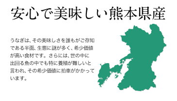 ★大サイズ4尾★熊本県産うなぎの白焼き【ふるさと納税】今なら『蒲焼きのタレ』付き《3-7営業日以内に順次出荷(土日祝日除く)》