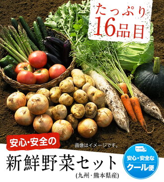 【ふるさと納税】安心・安全の九州/熊本県産 たっぷり16品目 安心・安全の新鮮野菜セット《5月末-6月中旬頃より順次出荷》