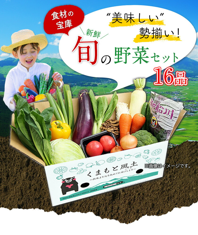 【ふるさと納税】旬の新鮮野菜たっぷり16品セット★御船町産を中心とした旬の野菜セット 冷蔵 詰め合わせ 季節の野菜 安心・安全の野菜セット《30日以内に順次出荷(土日祝除く)》