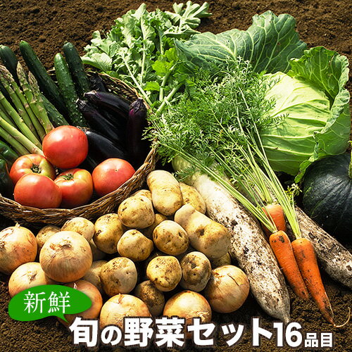 【ふるさと納税】旬の新鮮野菜たっぷり16品セット★御船町産を中心とした旬の野菜セット 冷蔵 詰め合わせ 季節の野菜 安心・安全の野菜セット《30日以内に順次出荷(土日祝除く)》