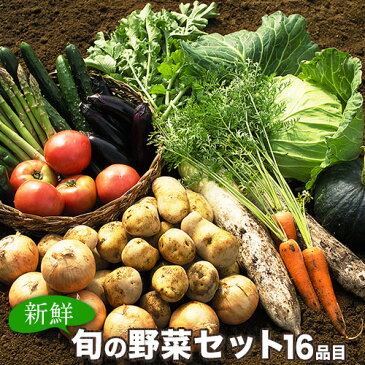 【ふるさと納税】旬の新鮮野菜たっぷり16品セット★御船町産を中心とした旬の野菜セット 冷蔵 詰め合わせ 季節の野菜 安心・安全の野菜セット《30日以内に順次出荷(土日祝除く)》