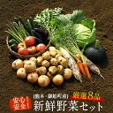 【ふるさと納税】安心・安全の熊本県御船町産 厳選8品目 安心...