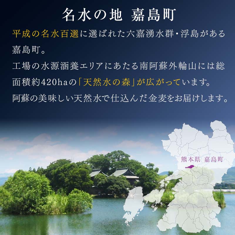 【ふるさと納税】《回数が選べる》交互にお届け！ザ・プレミアム・モルツ、金麦 (各350ml×24本) 交互お届け便＜2回～12回定期便＞ プレミアムモルツ 金麦 ビール 350ml 選べる 回数 定期便 ギフト 贈り物 酒 アルコール FKK19-793var