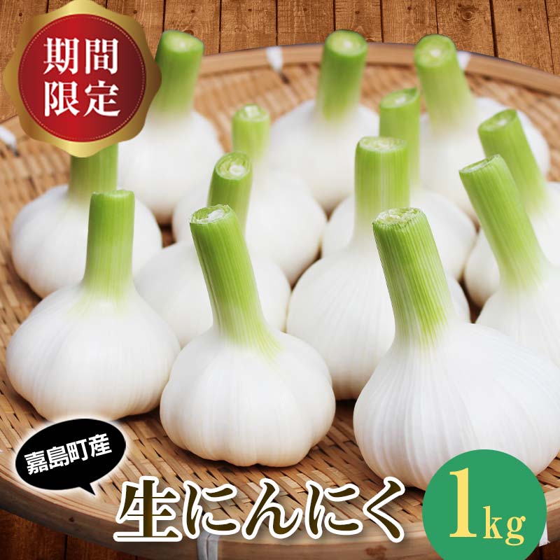 【ふるさと納税】【先行予約】 生にんにく 1kg FK7-0179