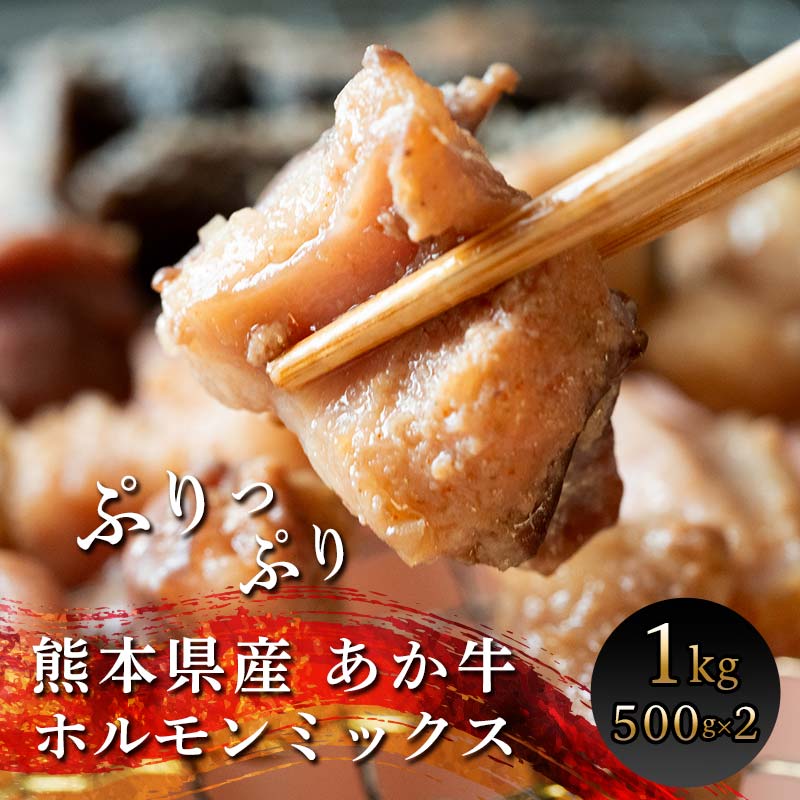 あか牛味付けホルモン 計1kg(500g×2パック) ブランド牛 あか牛 味付 ホルモン アカセンマイ 小腸 牛 小分け 冷凍 おつまみ 焼き肉 バーベキュー BBQ アウトドア キャンプ飯 ご当地 グルメ 食品 FKK19-217