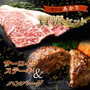 【ふるさと納税】<贅沢セット>肥後あか牛サーロインステーキ 計440g(220g×2枚)&あか牛100%使用ハンバーグ(100g×10個) セット 詰合せ ブラ...