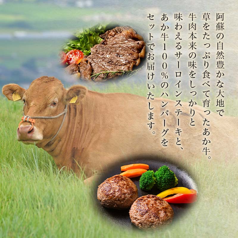 【ふるさと納税】＜贅沢セット＞肥後あか牛サーロインステーキ 計440g(220g×2枚)＆あか牛100％使用ハンバーグ(100g×10個) セット 詰合せ ブランド牛 あか牛 和牛 FKK19-266