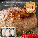 【ふるさと納税】熊本和王100%手ごねハンバーグ4個セット 計720g(180g×4個) 黒毛和牛 和王 ブランド牛 手ごね ハンバーグ 牛肉 牛 肉 ご当地 ...