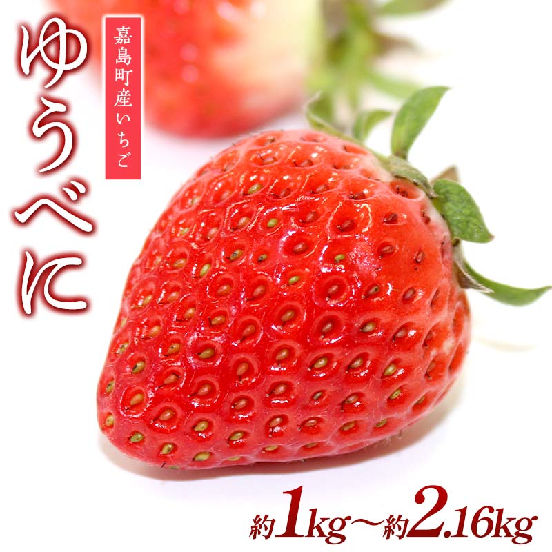 【ふるさと納税】《容量が選べる》【3月配送開始】嘉島町産いちご ゆうべに (約1kg～約2.16kg) イチゴ オリジナル品種 いちご 苺 くだもの フルーツ 250g 食品 FKK19-544var