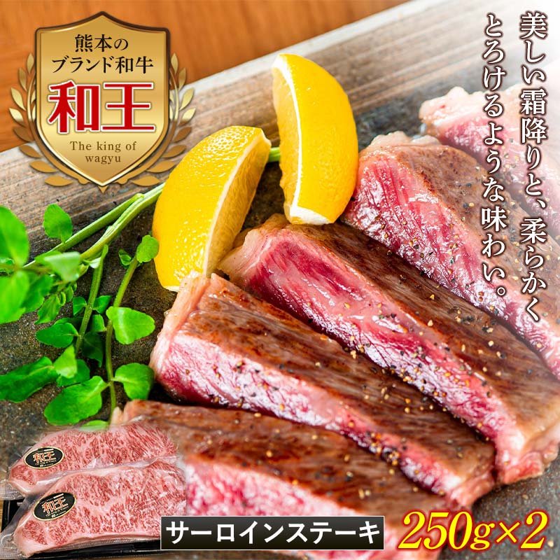 ★レビューキャンペーン実施中★熊本和王 サーロインスステーキ 計500g(250g×2) 黒毛和牛 和王 ブランド牛 サーロイン ステーキ 牛肉 牛 肉 ご当地 グルメ 食品 FKK19-529