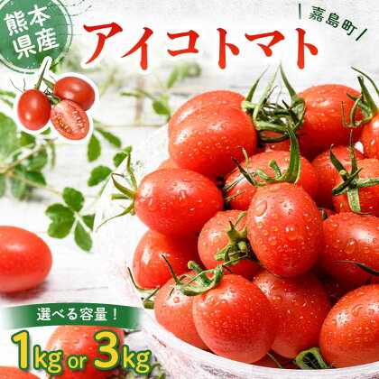 ＜期間限定＞嘉島町産アイコトマト 容量が選べる 1kg or 3kg ミニトマト アイコ トマト 野菜 サラダ お弁当 食品 FKK19-748var