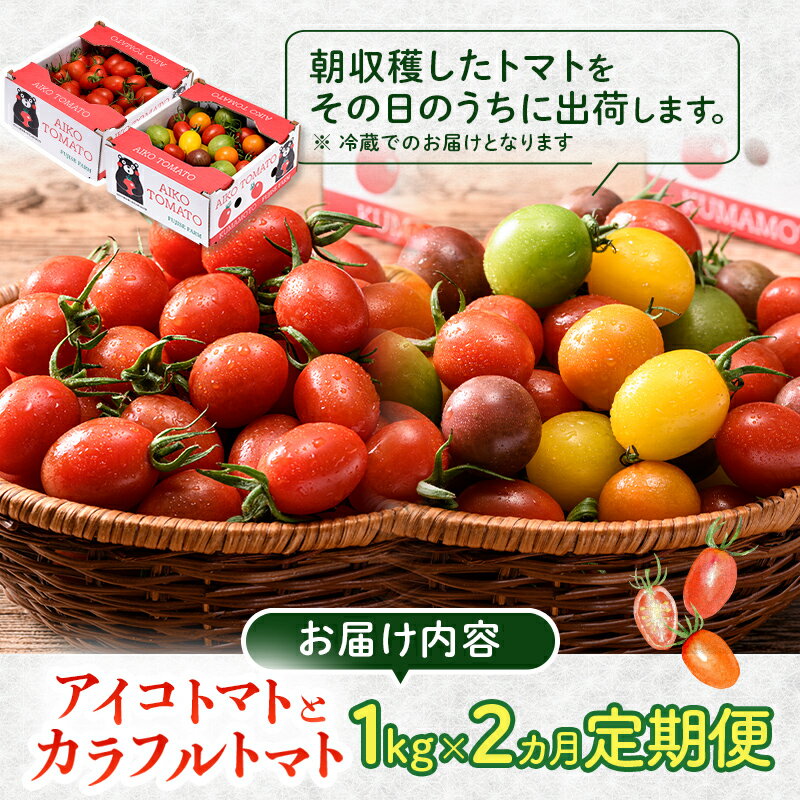 【ふるさと納税】《定期便》嘉島町産ミニトマトの定期便 各1kg ＜全2回＞ ミニトマト アイコ トマト カラフルトマト トマト 定期便 野菜 サラダ お弁当 食品 FKK19-874