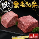 【ふるさと納税】 ≪数量限定≫熊本県産黒毛和牛 赤身・霜降りブロック計1kg(500g×2) 訳あり 部位お任せ 不揃い FKK19-897