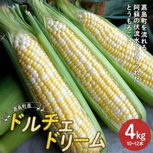 【ふるさと納税】【先行予約】嘉島町産ドルチェドリーム4kg ※令和7年5月中旬より順次発送 野菜 とうもろこし トウモロコシ 甘い ジューシー ドルチェドリーム 嘉島町 FKK19-939